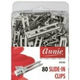 thumbnail image 3 of ANNIE - Slide-In Clips 10PCs #3171, 3 of 7