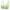 Green, variant on Lace Bras for Women Plus Size No Underwire Wireless Seamless Full Coverage Push Up No Underwire Everyday Bralette Bra,Green,46 C