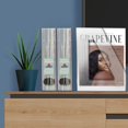 thumbnail image 4 of duomi-Magazine File Holder, Durable Rack, Space-Saving Organizer (Plastic) (Clear Crystal Color) (2 pack), 4 of 4