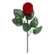 thumbnail image 2 of Pendientes de joyería de rosa roja Pendientes sorprendentes de regalo Suministros propuestos Suministros Caja de anillo portátil Boda de compromiso con hoja verde Vogacara AP004500-00, 2 of 7