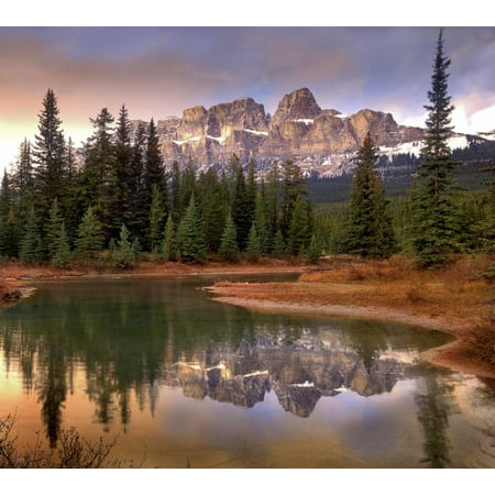 Castle Mountain and boreal forest reflected in lake Banff National Park Alberta Poster Print by Tim Fitzharris (12 x 12)