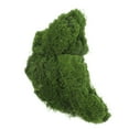 thumbnail image 6 of LITINKIMI Artificial Faux Moss Green Nylon 1 Bag For Garden And Office Environment, 6 of 8