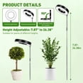 thumbnail image 5 of GPED Plant Grow Light, LED Growing Light for Indoor Plants, Full Spectrum Desk Growth Lamp w/ Automatic Timer(3/9/12Hrs) & Height Adjustable, 10 Dimmable Brightness for Small Plants, 2 Packs, Black, 5 of 8