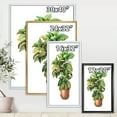 thumbnail image 4 of Designart 'Green Croton In Clay Flowerpot' Traditional Framed Canvas Wall Art Print, 4 of 5