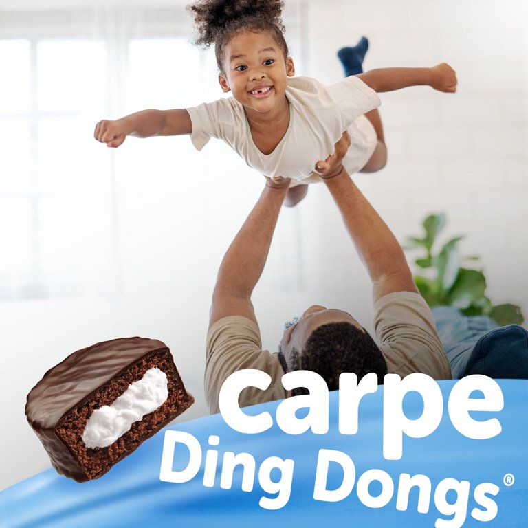 HOSTESS Chocolate DING DONGS Chocolate Snack Cakes Family 20.31 oz