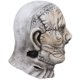 thumbnail image 5 of Funda facial de látex para Halloween, figura de película de terror, cosplay, figura de película de terror, rendimiento de alta gama, 5 of 10