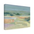 thumbnail image 2 of Tim OToole 'Soft Terrain II' Canvas Art, 2 of 4