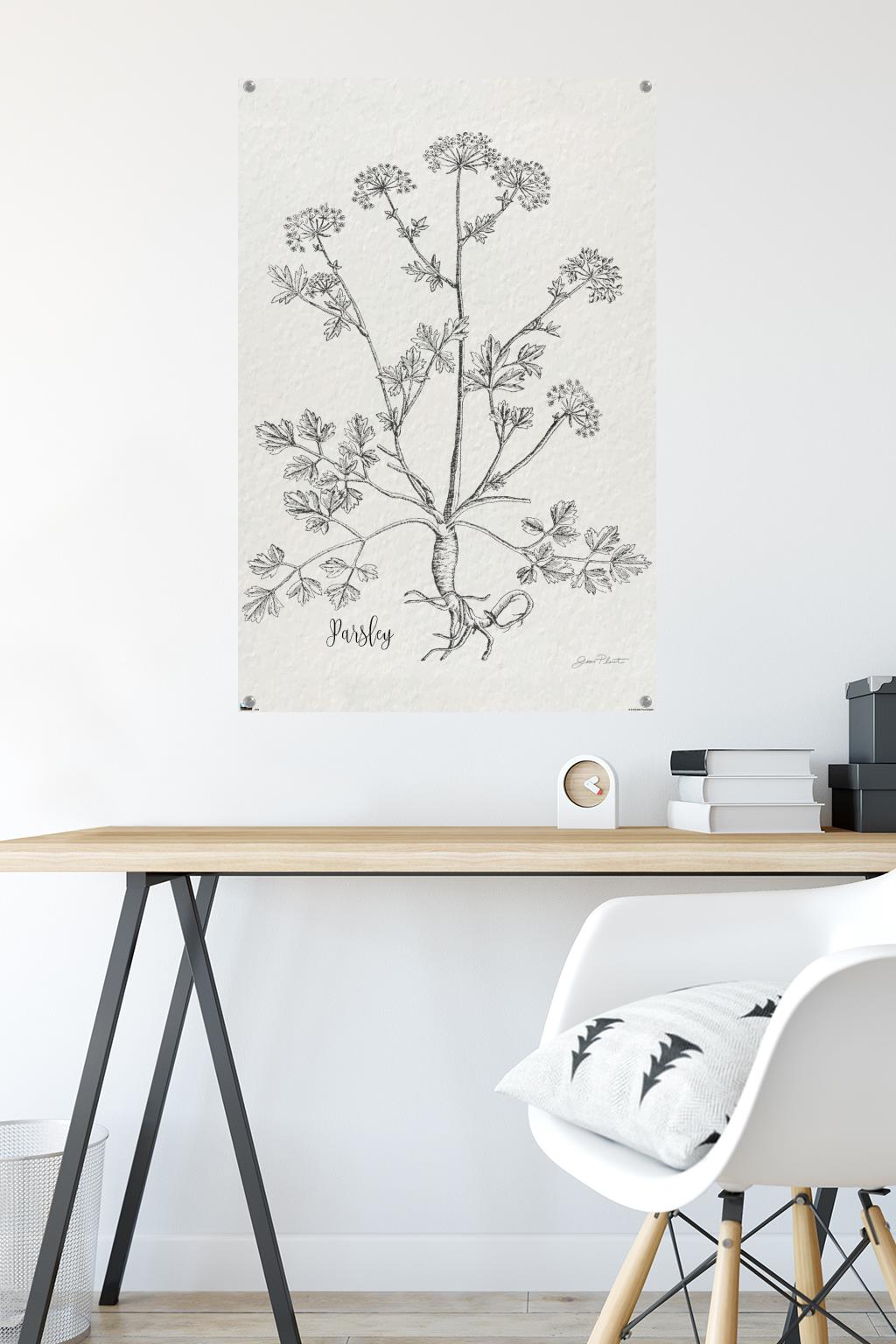 Jean Plout - Botanical Studies on Paper Parsley Wall Poster with Pushpins, 22.375" x 34"