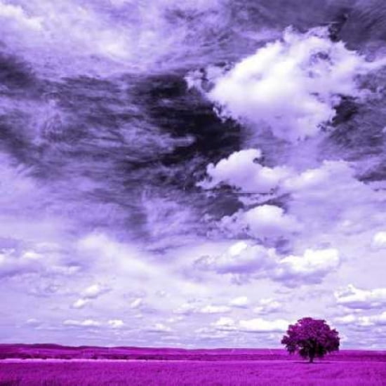 Posterazzi Lilac Fi