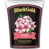 Black Gold 1390102 12 Quart Perlite Soil