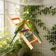 thumbnail image 5 of Juguete de escalera de madera para pájaros con gimnasio de actividades colgante, multicolor, accesorios para jaulas de aves pequeñas para trepar, morder, hacer ejercicio y jugar., 5 of 6