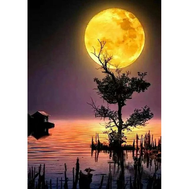 Taladro Pintura Diamante (DF3087) 5D Luna Llena Paisaje Patrón DIY Punto de Cruz (03) 20X30cm FLhrweasw Nuevo
