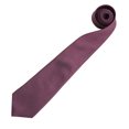 thumbnail image 2 of Premier Cravate Mode / Affaires Unie pour Hommes « Colors », 2 of 3