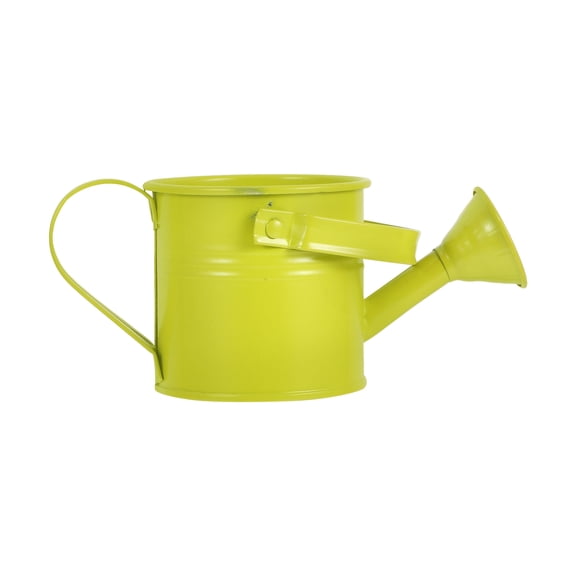 HEMOTON Light Green Galvanized Iron Mini Watering Can for Succulents with Multifunctional Design Ideal for