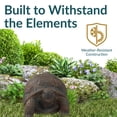 thumbnail image 5 of Sunnydaze 9" Tanya the Tortoise Poly-Concrete Outdoor Statue, 5 of 9