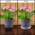 thumbnail image 3 of Paquete de 5 platillos para macetas YONGSHENG transparentes reutilizables para flores y plantas, 3 of 5