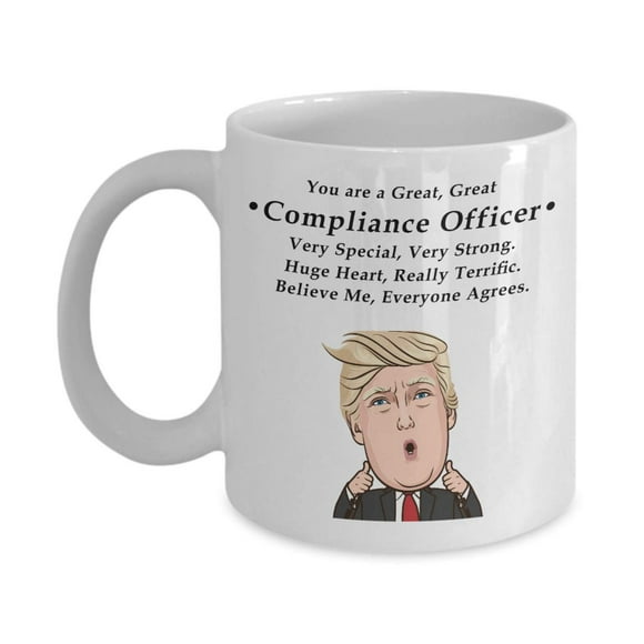 Funny Christmas Unique Gifts for Coworkers, Birthday Unique Gifts for Compliance Officers, Sarcastic Gifts from Friends