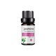 thumbnail image 2 of Pisexur Belleza Maquillaje Aceite corporal 10 ml Cuidado hidratante Aceite de masaje Fragancias Cuidado calmante Masaje Nutritivo integralpara mujeres y hombres, 2 of 8