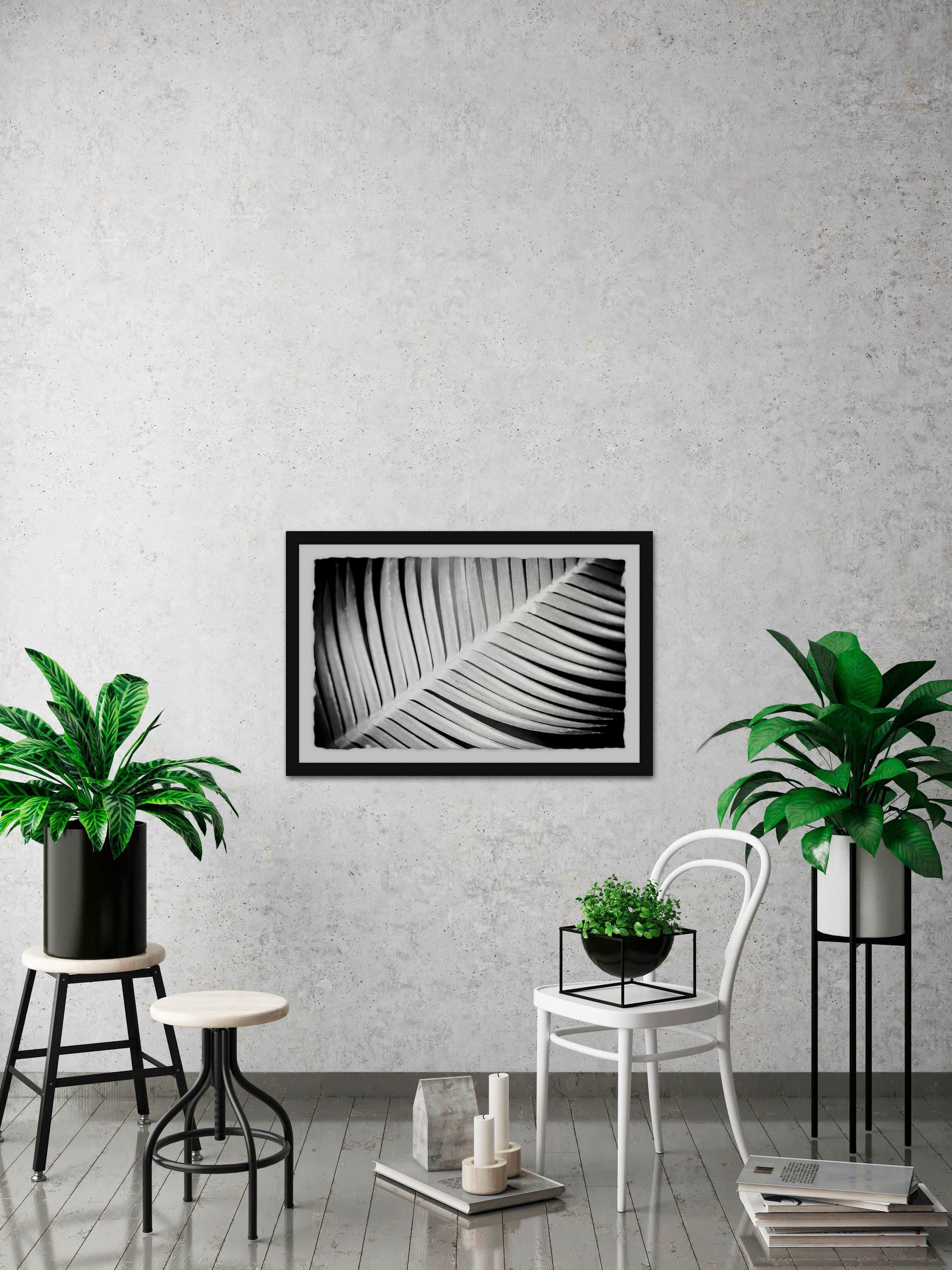 Palm Frond II Framed Painting Print