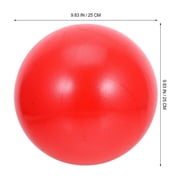 MERRYHAPY Balls for Exercise 2Pcs .8in