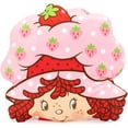 Strawberry Shortcake Pillow And 40x50inch Travel Blanket Set 100 Microfiber Strawberries Galore