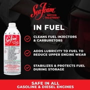 (6 pack) Sea Foam SF16 Motor Treatment Automotive Additive, 16 oz