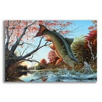 Epic Art 'Splash of Color - Brook Trout' by Mark Mueller Wildlife Art, Acrylic Glass Wall Art, 36"x24"