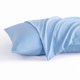 thumbnail image 1 of Chenchen King Pillow Cases Set of 2, 2 Pack Brushed Microfiber 20x36 Pillow Cases, Soft, Wrinkle, Fade, Stain Resistant Sky Blue Pillow Cases with Envelope Closure, 20x36 Inches, Sky Blue, 1 of 1