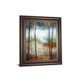 thumbnail image 1 of Art 8441 Classy 22 x 26 Po Forêt Douce II par Nan Imprimé Mural Encadré Art, 1 of 1