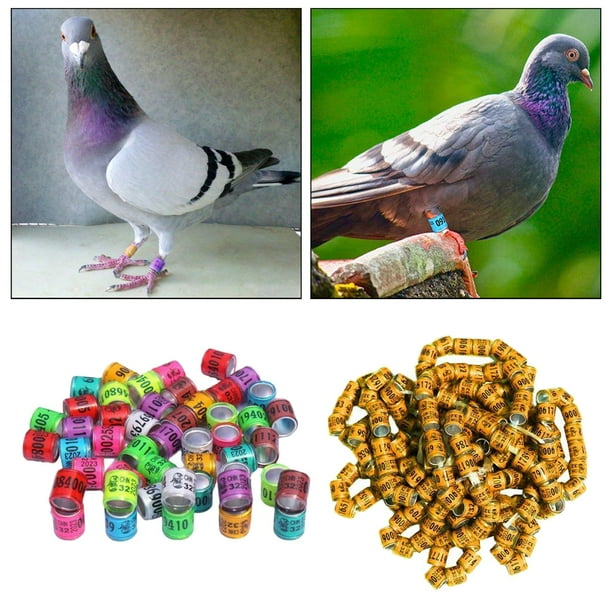 100 Anillos Reutilizables de Aluminio 2023 para Patas de Paloma, Bandas Numeradas para Pies de Pájaro, Identificación para Loros, Pollos, Aves de color naranja mezclado Yinane Anillos de pierna de paloma