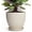 Cream White, variant on Ordivic 6 inch Mint Green Ceramic Planter with Drainage & Saucer, Round Pot for Baby Tears & Ferns, Kitchen Windowsill Herb Garden Decor, Gift