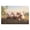 300, variant on Puzzles for Adults 1000 Pieces - Three Little Piglets Nature Fun Brain Puzzle Lovers Challenging and Relaxing Gifts Idea