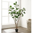 thumbnail image 2 of SAFAVIEH Faux 59 Inch Polyscias Potted Tree, Black, 2 of 5