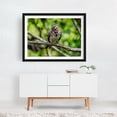 thumbnail image 6 of American Tree Sparrow - York Pennsylvania Photography Bird Wildlife Woodland Nature Animal Scenic Forest Black Framed Wall Art Print 11 x 14 inches, 6 of 8