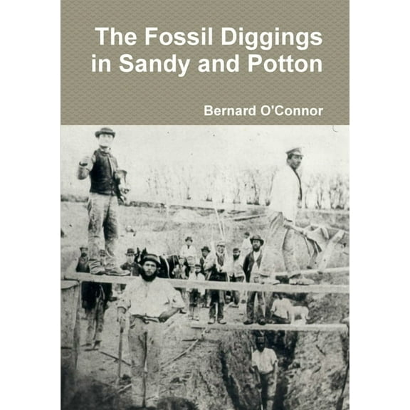 The Fossil Diggings in Sandy and Potton (Paperback)