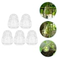 thumbnail image 2 of 5 moldes para dar forma a las frutas, moldes transparentes para dar forma a las frutas de ginseng, moldes para cultivar vegetales., 2 of 7