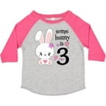 thumbnail image 3 of Inktastic Somebunny is Three-third Birthday Bunny Boys or Girls Toddler T-Shirt, 3 of 5