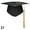 D, variant on Unisex Adult Graduation Cap Hat with Tassel For College & School 4 - col`~