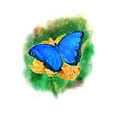 thumbnail image 4 of Blue Morpho Butterfly, Watercolor (1000 Piece Puzzle, Size 19x27, Challenging Jigsaw Puzzle for Adults and Family, Made in USA), 4 of 4