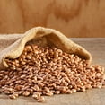 thumbnail image 5 of Augason Farms Dried Pinto Beans 4 Gallon Pail, Bulk Food Storage, Emergency Food Supply, Everyday Meals, 311 Servings, 5 of 9