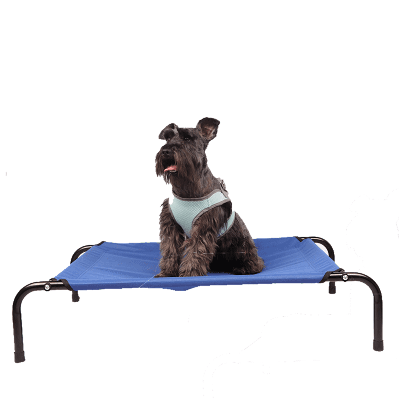 Jaula Para Gato EveryYay Classic Transportadora Básica De Tela