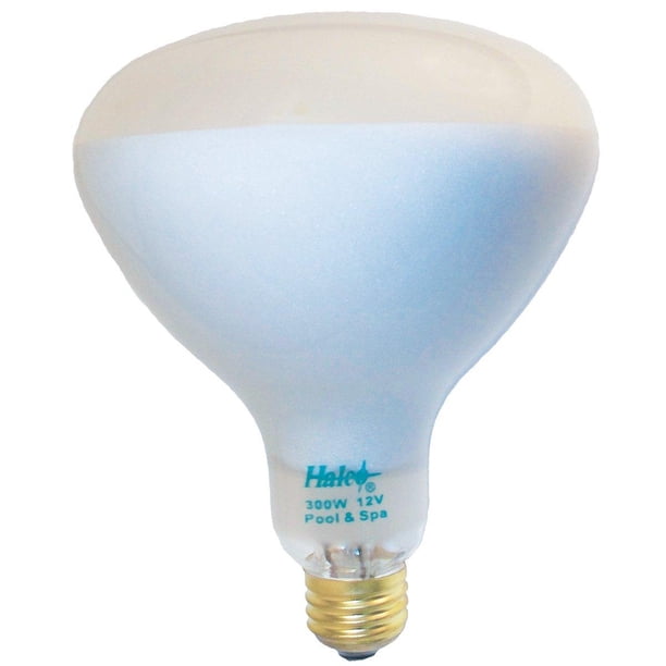 Feit Electric Company 300W Flood Reflector White Light Bulb for Pool