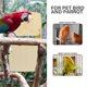 thumbnail image 4 of Bird Box Hatch Nest Plastic Hut Can Hang Bird Home Balcony Decoration Bird Nest, 4 of 5