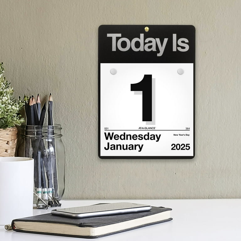 2025 Daily Wall Calendar