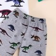 thumbnail image 5 of UAYOTSE Toddler Boys Baby Kids Girls Summer Dinosaur Vest+Shorts Outfit Set Clothes,Sizes 18-24 Months, 5 of 6