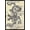 Black Framed Version, variant on Japanese Dragon Wall Poster, 22.375" x 34"