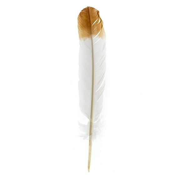 Imitation Eagle Feather 12in White & Brown (3 Header, 18pcs)