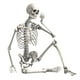 thumbnail image 1 of Esqueleto de Halloween de 16 pulgadas, decoración Flexible de Halloween, modelo de esqueleto de cuerpo completo para césped delantero, accesorio de Sunnimix esqueleto de halloween, 1 of 8