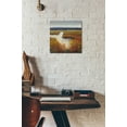 thumbnail image 6 of Epic Art 'Marsh Land I' by Tim O'Toole, Acrylic Glass Wall Art, 12"x12", 6 of 7