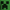 Green, variant on Boys, Licensed Cosplay Hoodie, Spiderman, Sizes XS-XXL